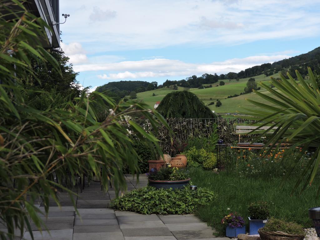 B&B Am Sonnenhuegel Baden Extérieur photo