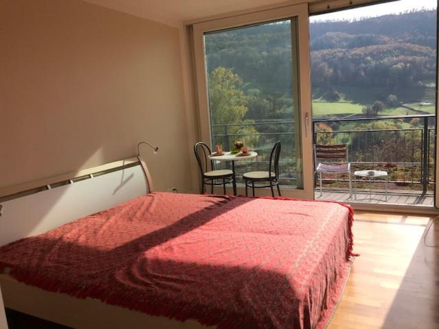 B&B Am Sonnenhuegel Baden Extérieur photo